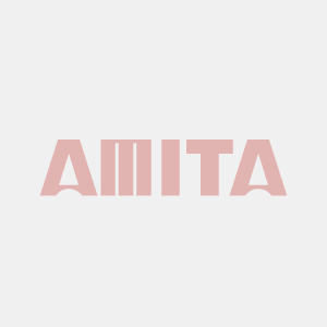 AMITA HOLDINGS Co., Ltd. logo