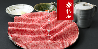 Kakiyasu Honten Co., Ltd. logo