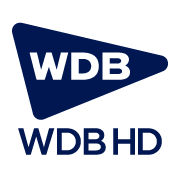 WDB HOLDINGS Co., Ltd. logo