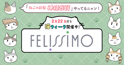 FELISSIMO CORPORATION logo
