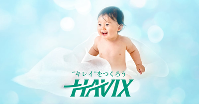 HAVIX CORPORATION logo