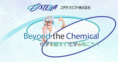 STELLA CHEMIFA CORPORATION logo