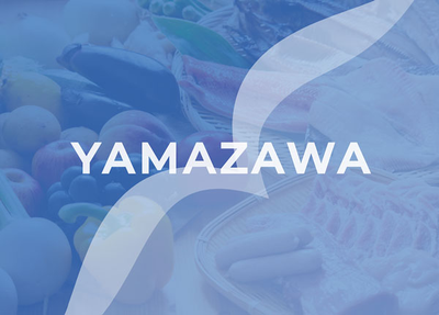 YAMAZAWA Co., Ltd. logo